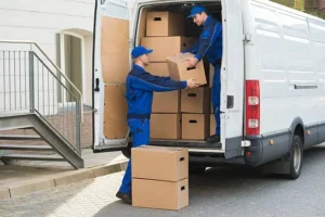 Prof Delivery 6