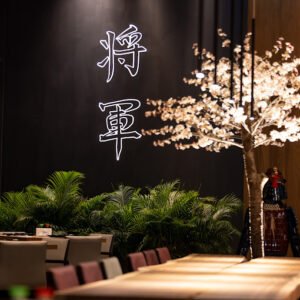 shogun 19