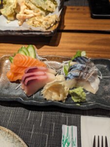 shogun 5